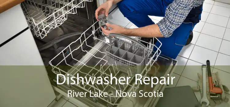 Dishwasher Repair River Lake - Nova Scotia