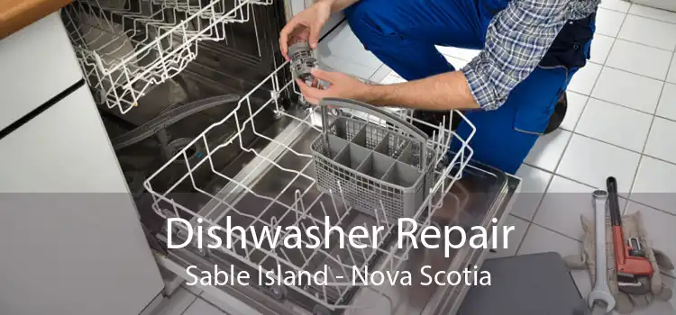 Dishwasher Repair Sable Island - Nova Scotia
