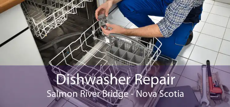 Dishwasher Repair Salmon River Bridge - Nova Scotia