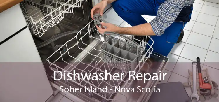 Dishwasher Repair Sober Island - Nova Scotia