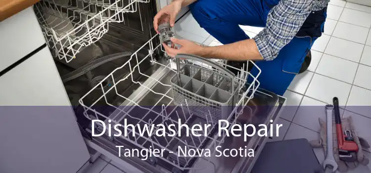Dishwasher Repair Tangier - Nova Scotia
