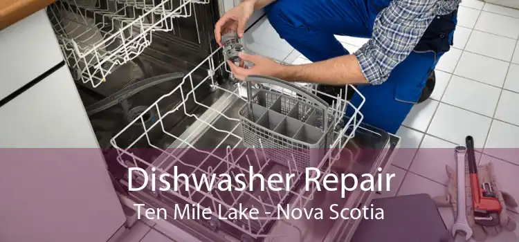 Dishwasher Repair Ten Mile Lake - Nova Scotia