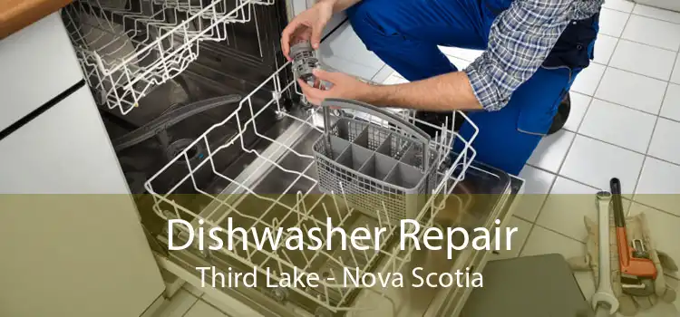 Dishwasher Repair Third Lake - Nova Scotia