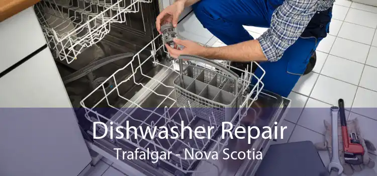 Dishwasher Repair Trafalgar - Nova Scotia