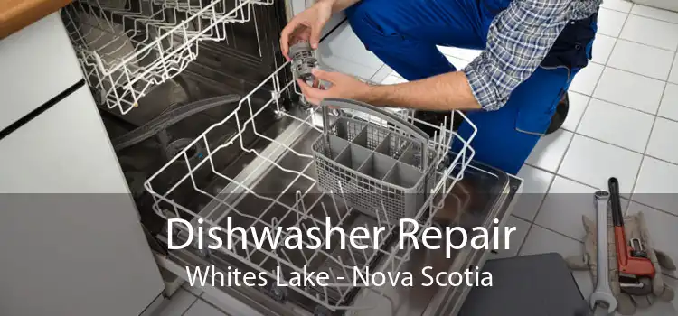 Dishwasher Repair Whites Lake - Nova Scotia