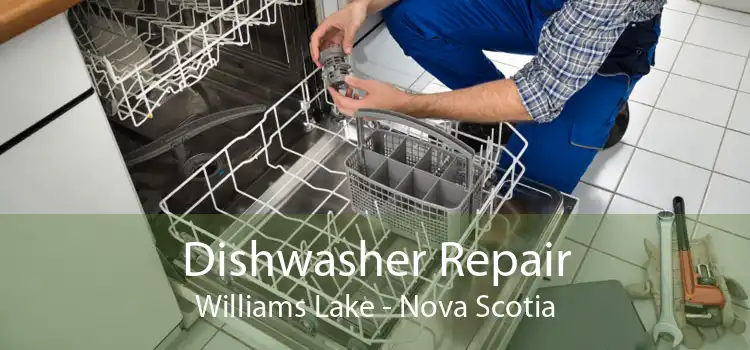 Dishwasher Repair Williams Lake - Nova Scotia