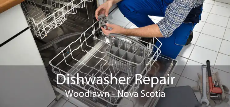 Dishwasher Repair Woodlawn - Nova Scotia