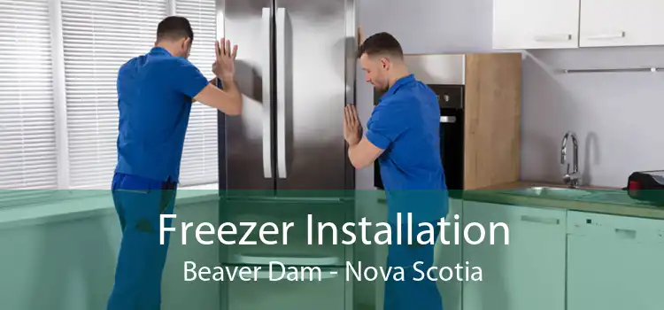 Freezer Installation Beaver Dam - Nova Scotia