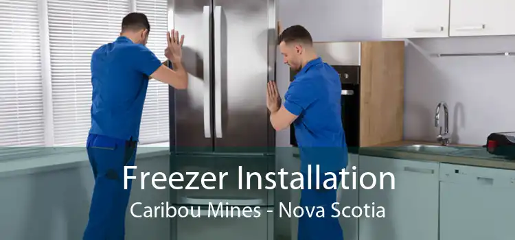 Freezer Installation Caribou Mines - Nova Scotia