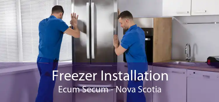Freezer Installation Ecum Secum - Nova Scotia