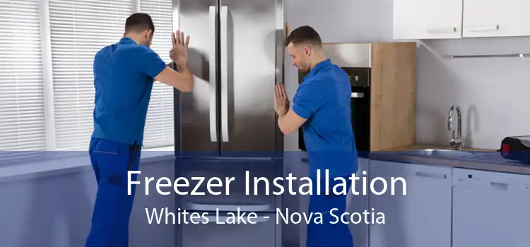 Freezer Installation Whites Lake - Nova Scotia