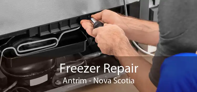 Freezer Repair Antrim - Nova Scotia