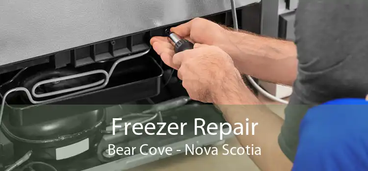 Freezer Repair Bear Cove - Nova Scotia