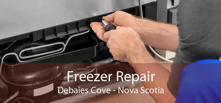 Freezer Repair Debaies Cove - Nova Scotia