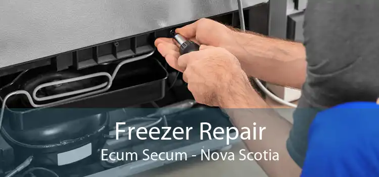 Freezer Repair Ecum Secum - Nova Scotia