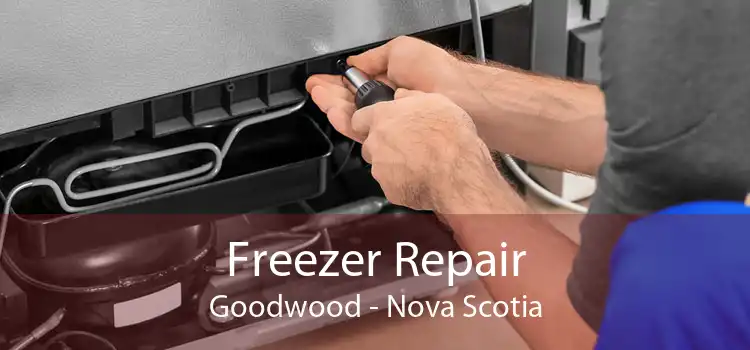 Freezer Repair Goodwood - Nova Scotia