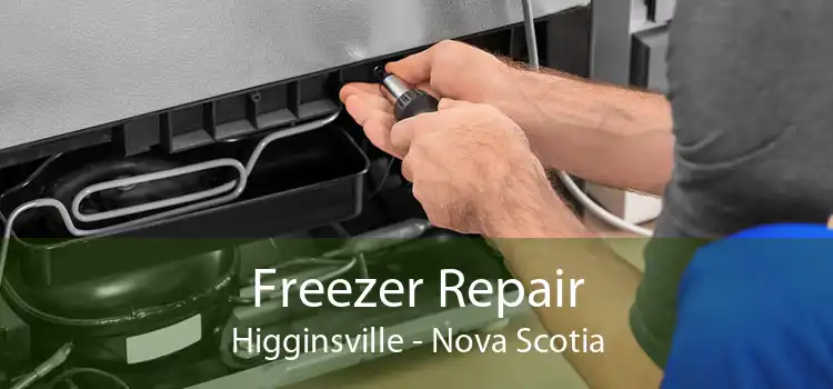 Freezer Repair Higginsville - Nova Scotia