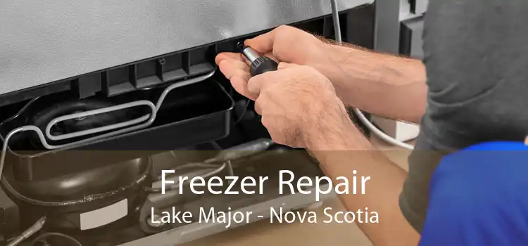 Freezer Repair Lake Major - Nova Scotia