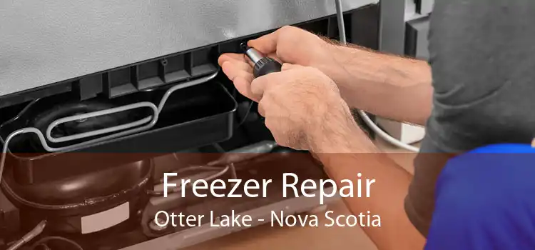 Freezer Repair Otter Lake - Nova Scotia