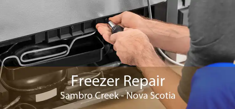 Freezer Repair Sambro Creek - Nova Scotia