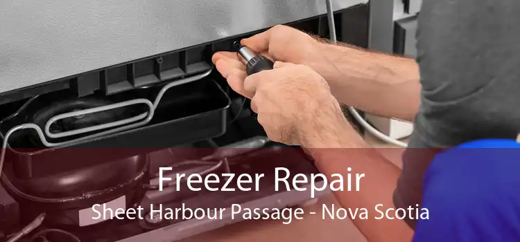 Freezer Repair Sheet Harbour Passage - Nova Scotia