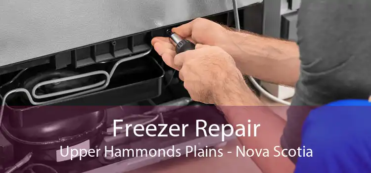 Freezer Repair Upper Hammonds Plains - Nova Scotia