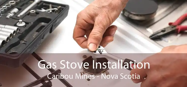 Gas Stove Installation Caribou Mines - Nova Scotia