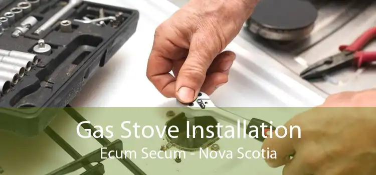 Gas Stove Installation Ecum Secum - Nova Scotia