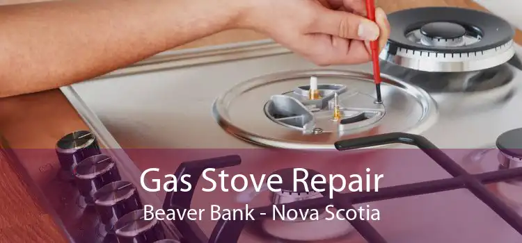 Gas Stove Repair Beaver Bank - Nova Scotia