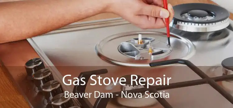 Gas Stove Repair Beaver Dam - Nova Scotia