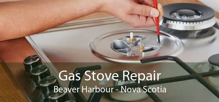 Gas Stove Repair Beaver Harbour - Nova Scotia