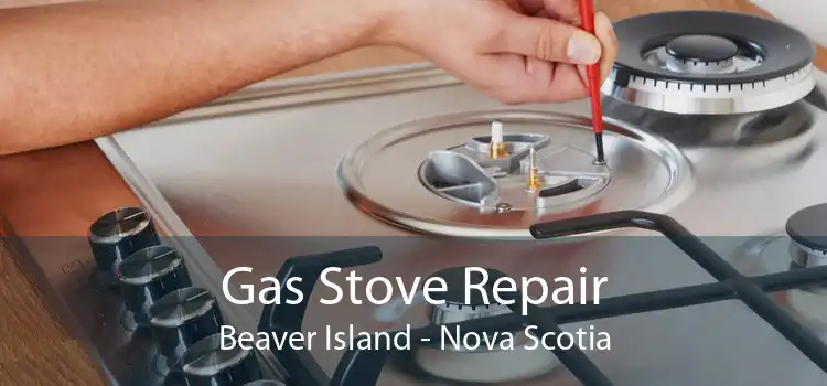 Gas Stove Repair Beaver Island - Nova Scotia
