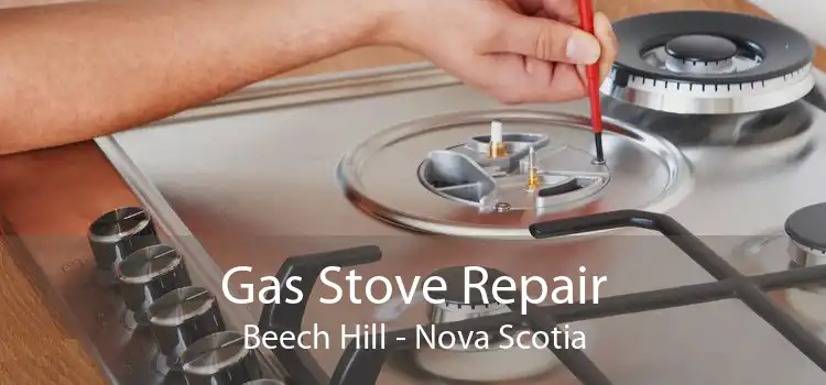 Gas Stove Repair Beech Hill - Nova Scotia