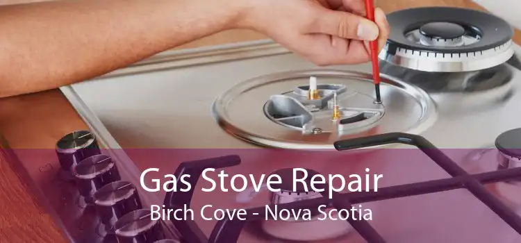 Gas Stove Repair Birch Cove - Nova Scotia