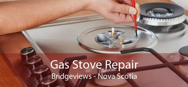 Gas Stove Repair Bridgeviews - Nova Scotia