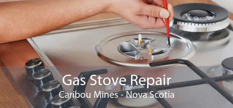 Gas Stove Repair Caribou Mines - Nova Scotia