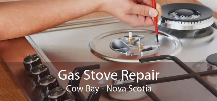Gas Stove Repair Cow Bay - Nova Scotia
