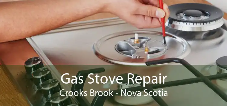 Gas Stove Repair Crooks Brook - Nova Scotia