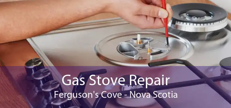 Gas Stove Repair Ferguson's Cove - Nova Scotia