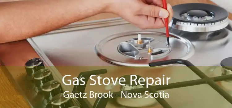 Gas Stove Repair Gaetz Brook - Nova Scotia