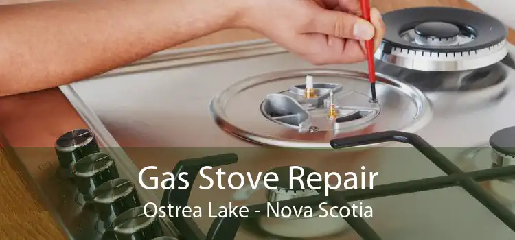 Gas Stove Repair Ostrea Lake - Nova Scotia