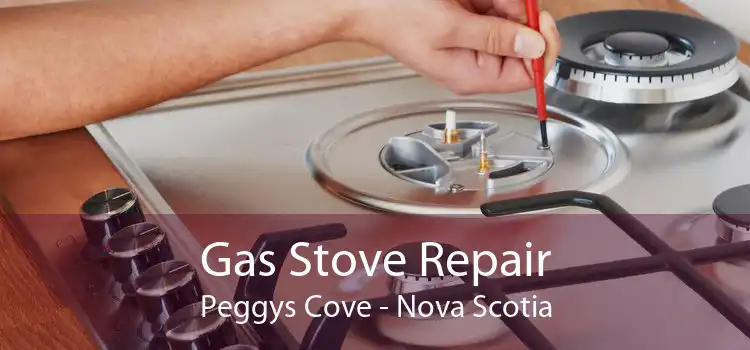 Gas Stove Repair Peggys Cove - Nova Scotia