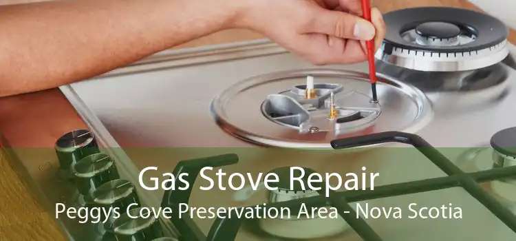 Gas Stove Repair Peggys Cove Preservation Area - Nova Scotia