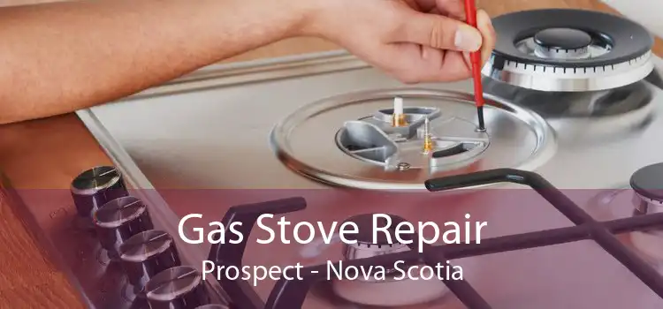 Gas Stove Repair Prospect - Nova Scotia