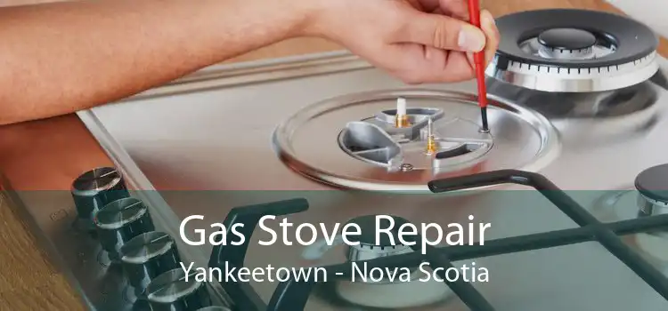 Gas Stove Repair Yankeetown - Nova Scotia