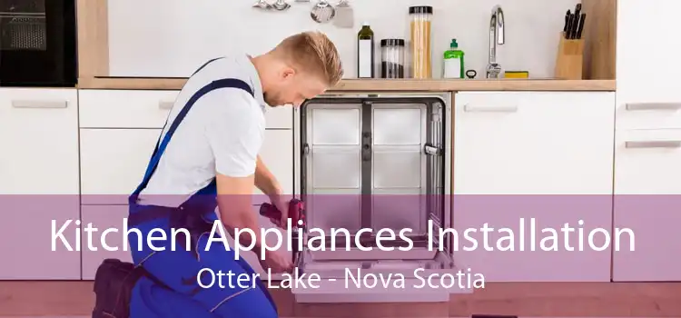 Kitchen Appliances Installation Otter Lake - Nova Scotia