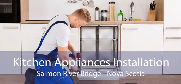 Kitchen Appliances Installation Salmon River Bridge - Nova Scotia