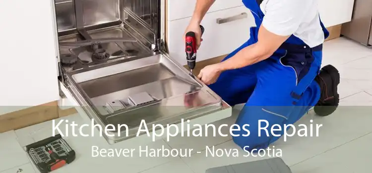 Kitchen Appliances Repair Beaver Harbour - Nova Scotia