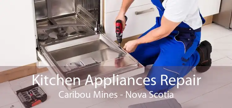 Kitchen Appliances Repair Caribou Mines - Nova Scotia