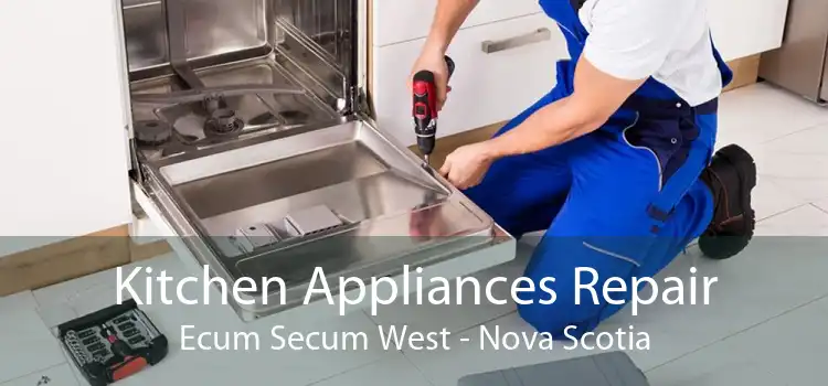 Kitchen Appliances Repair Ecum Secum West - Nova Scotia